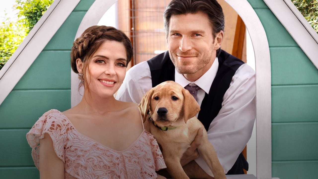Liebe mit Herz und Hund (2019) abspielen