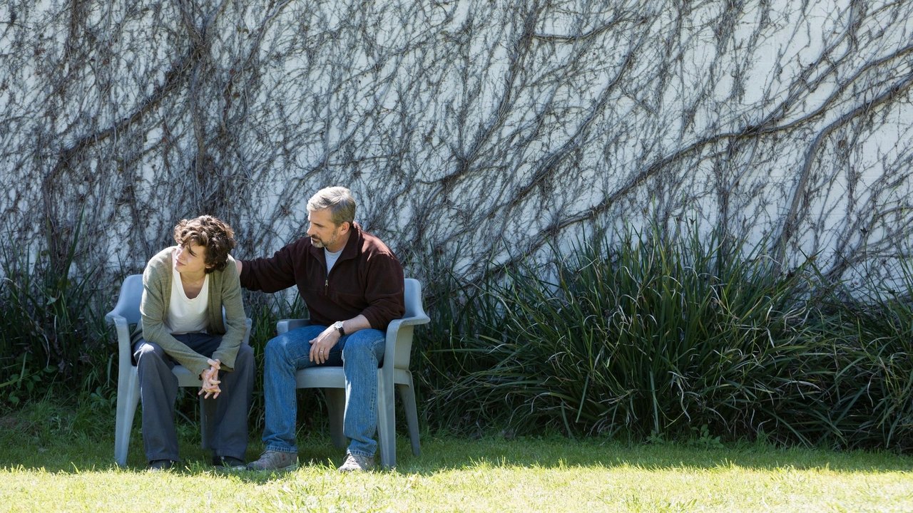 Beautiful Boy (2018) abspielen