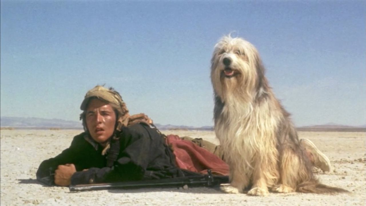 Der Junge mit dem Hund (1975) abspielen