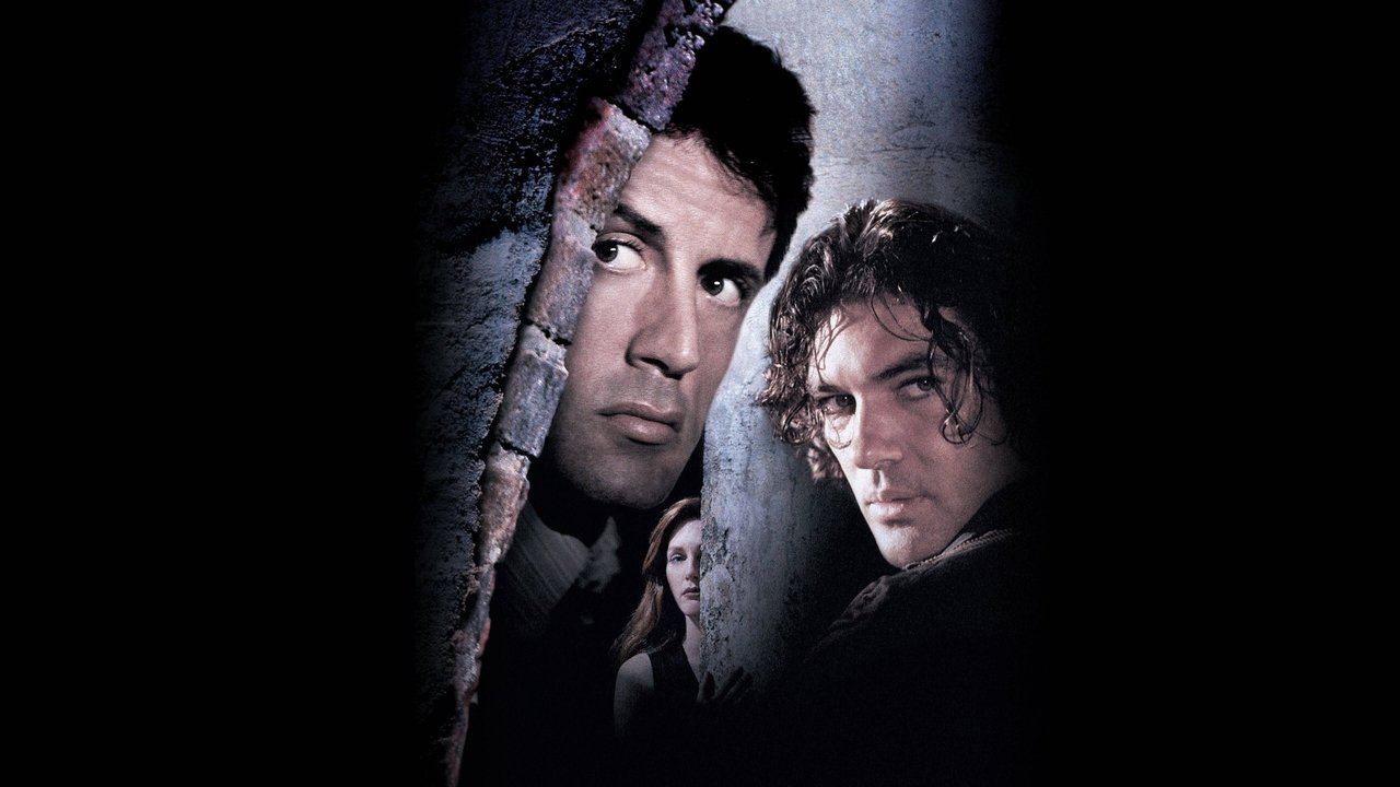 Assassins - Die Killer (1995) abspielen