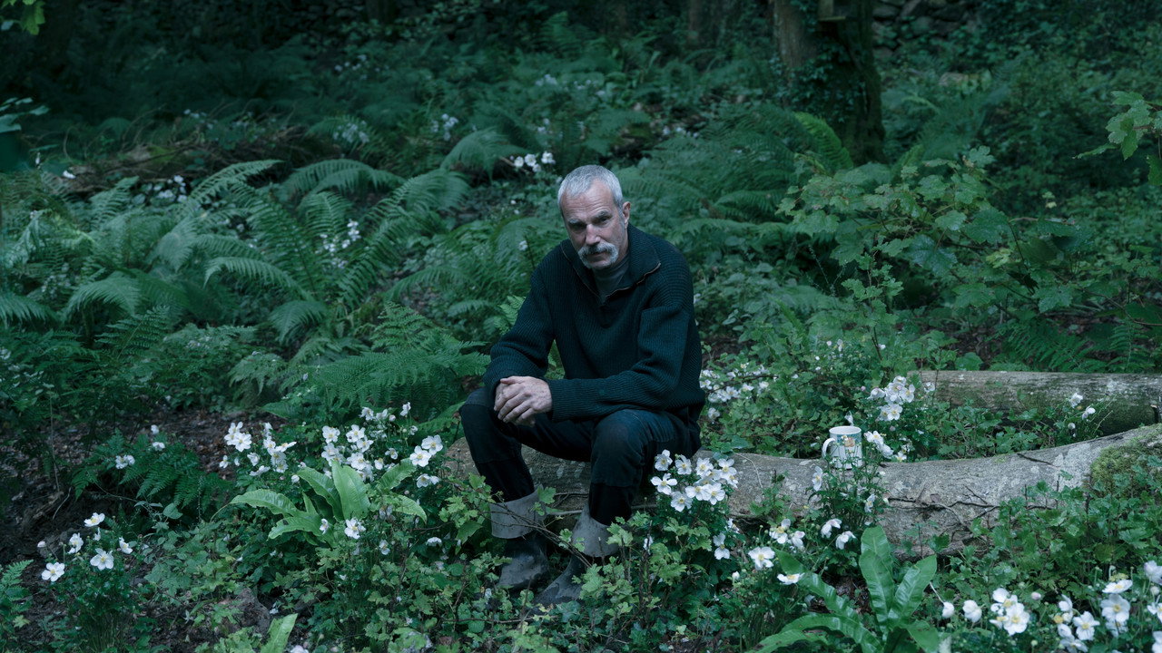 Anemone (2025) abspielen