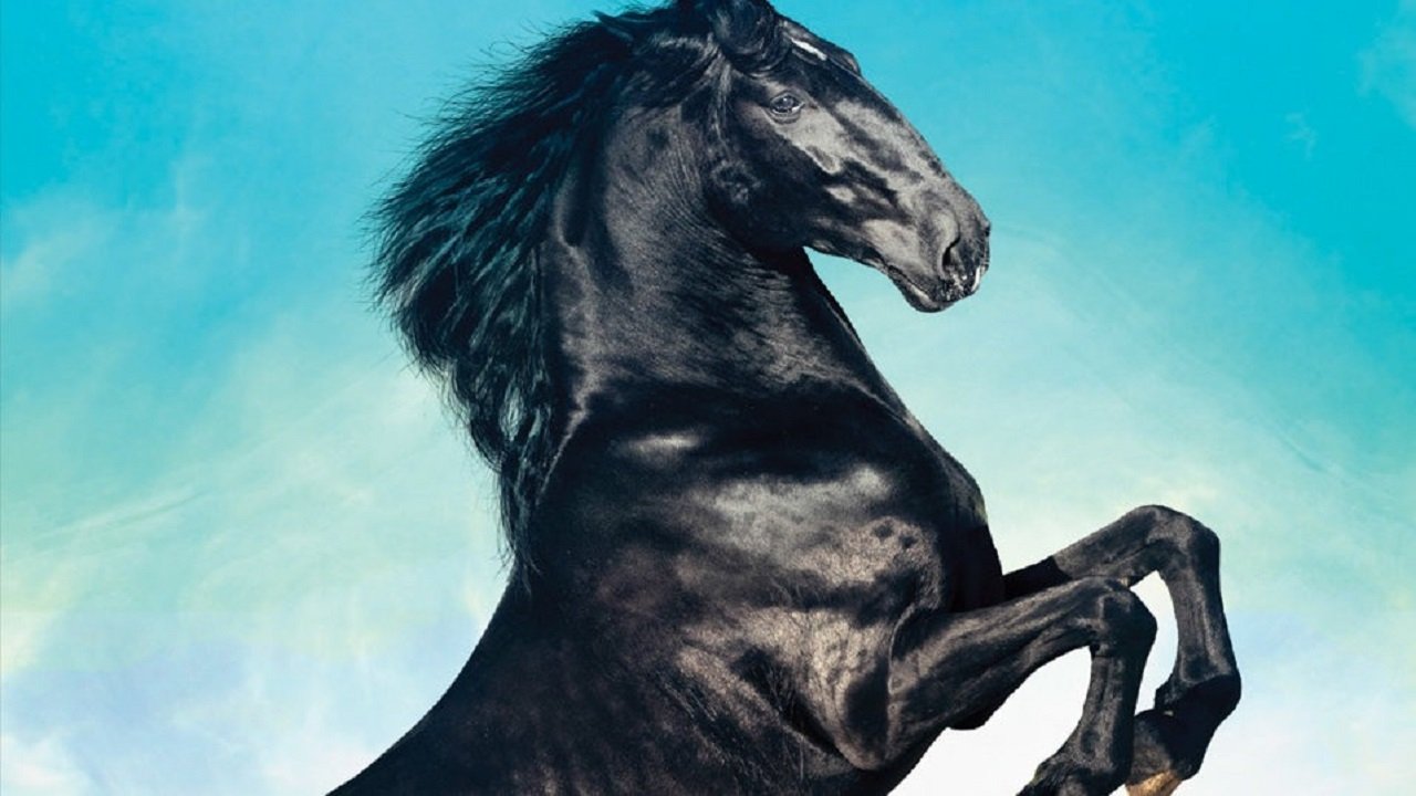 Black Beauty (2015) abspielen