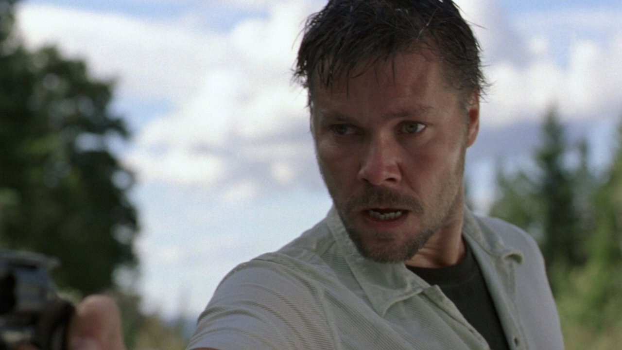 Cry in the Woods (2004) abspielen