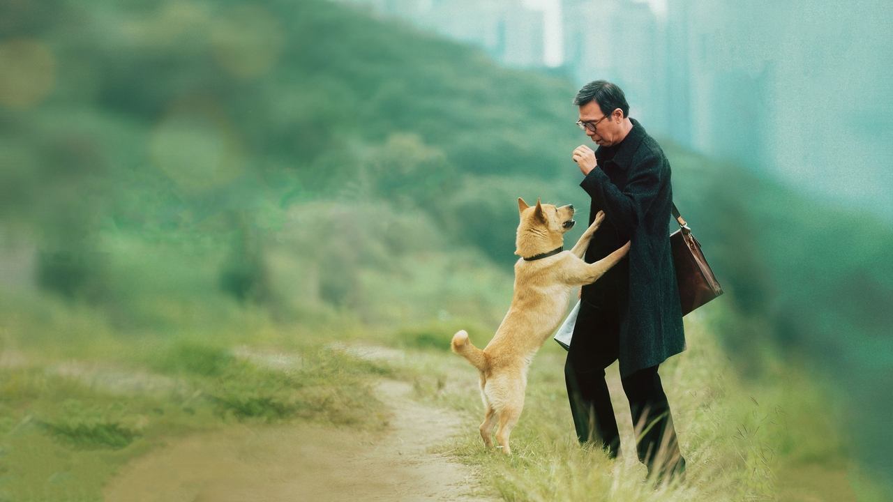 Hachiko - Eine Freundschaft für die Ewigkeit (2023) abspielen