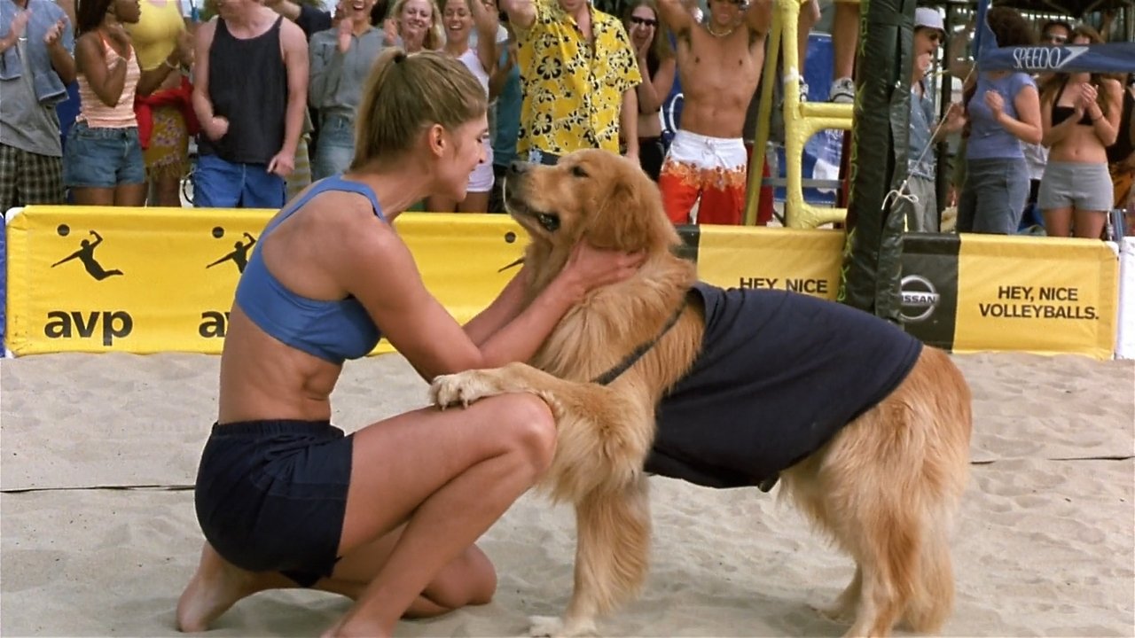 Air Bud 5 - Vier Pfoten schlagen auf (2003) abspielen