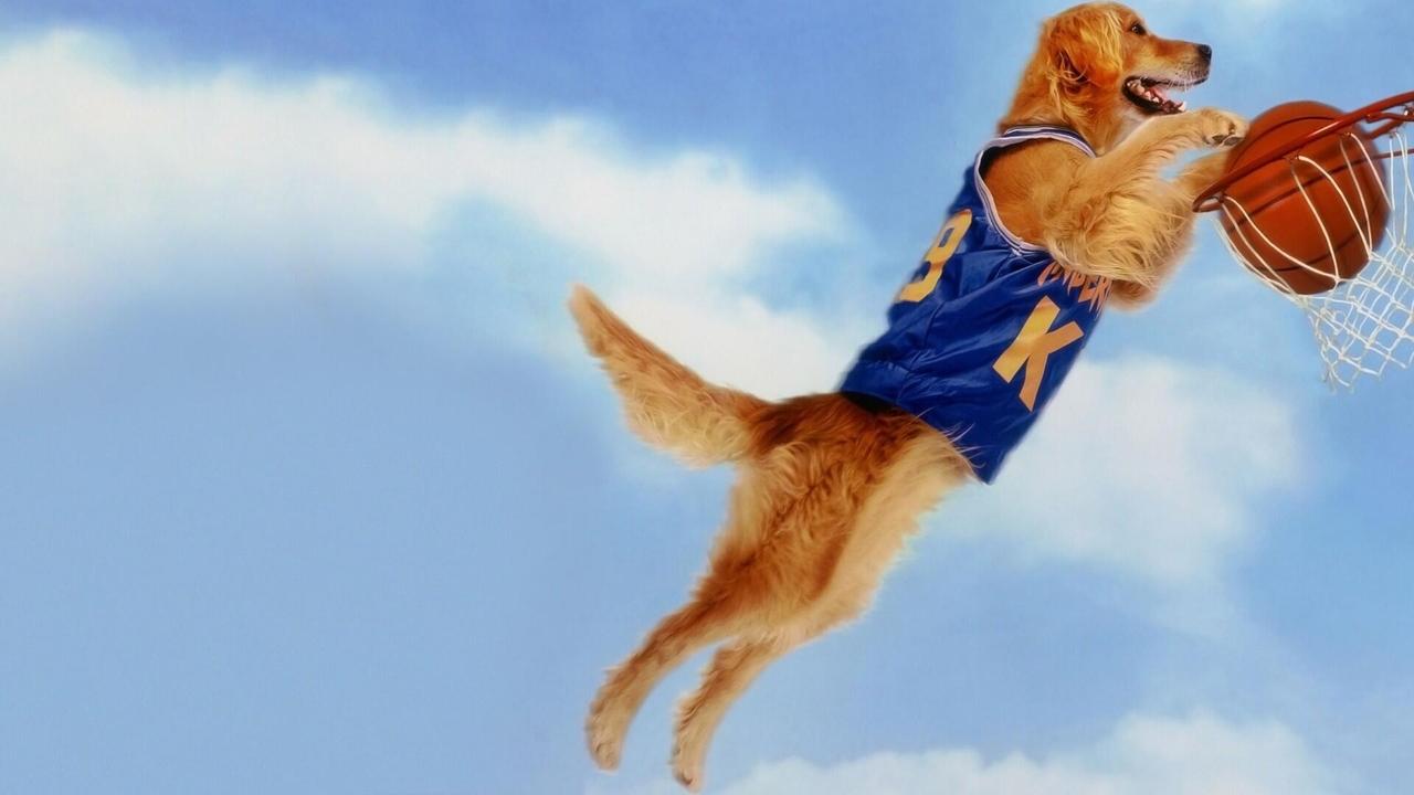 Air Bud - Champion auf vier Pfoten (1997) abspielen