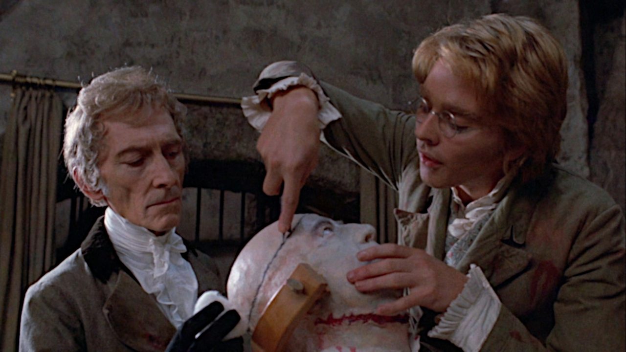 Frankensteins Höllenmonster (1974) abspielen