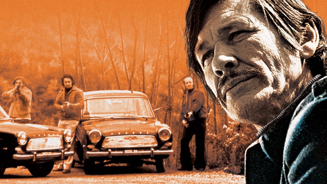 Kalter Hauch (1972) abspielen