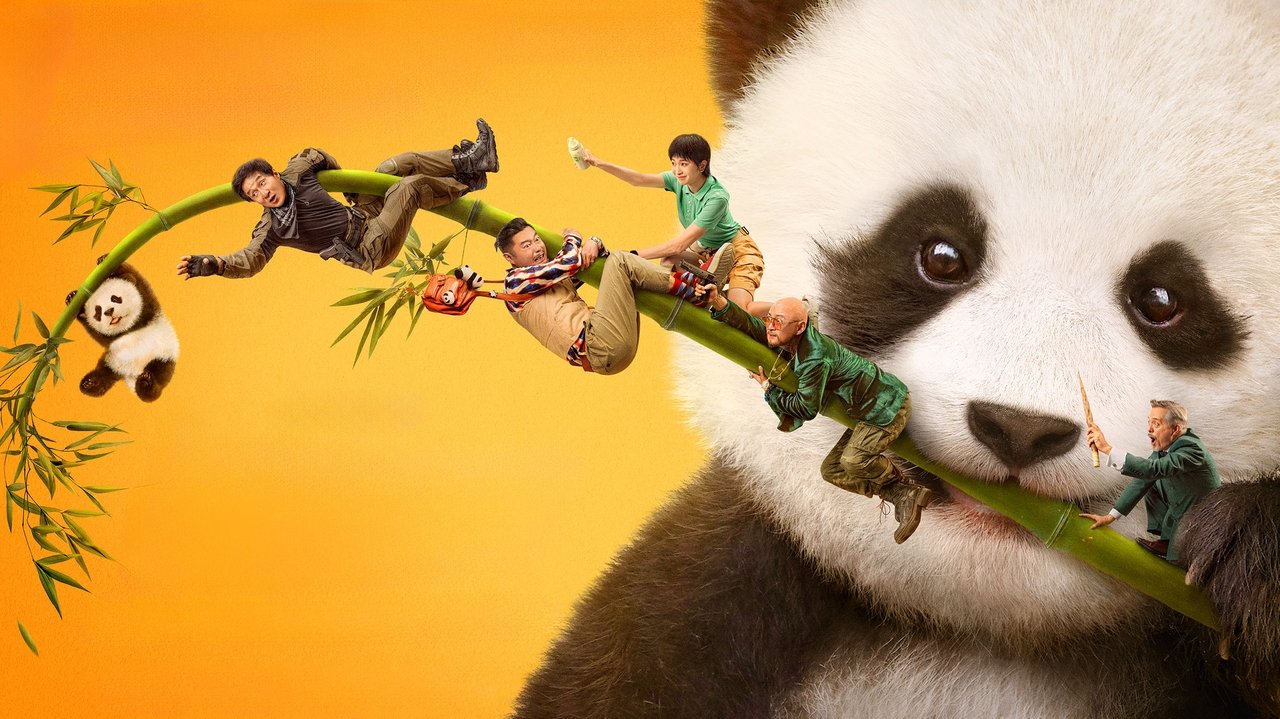 Panda Plan (2024) abspielen