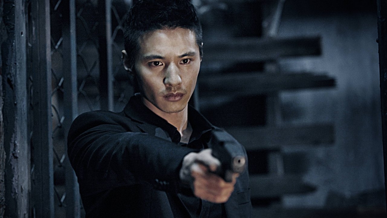 The Man from Nowhere (2010) abspielen