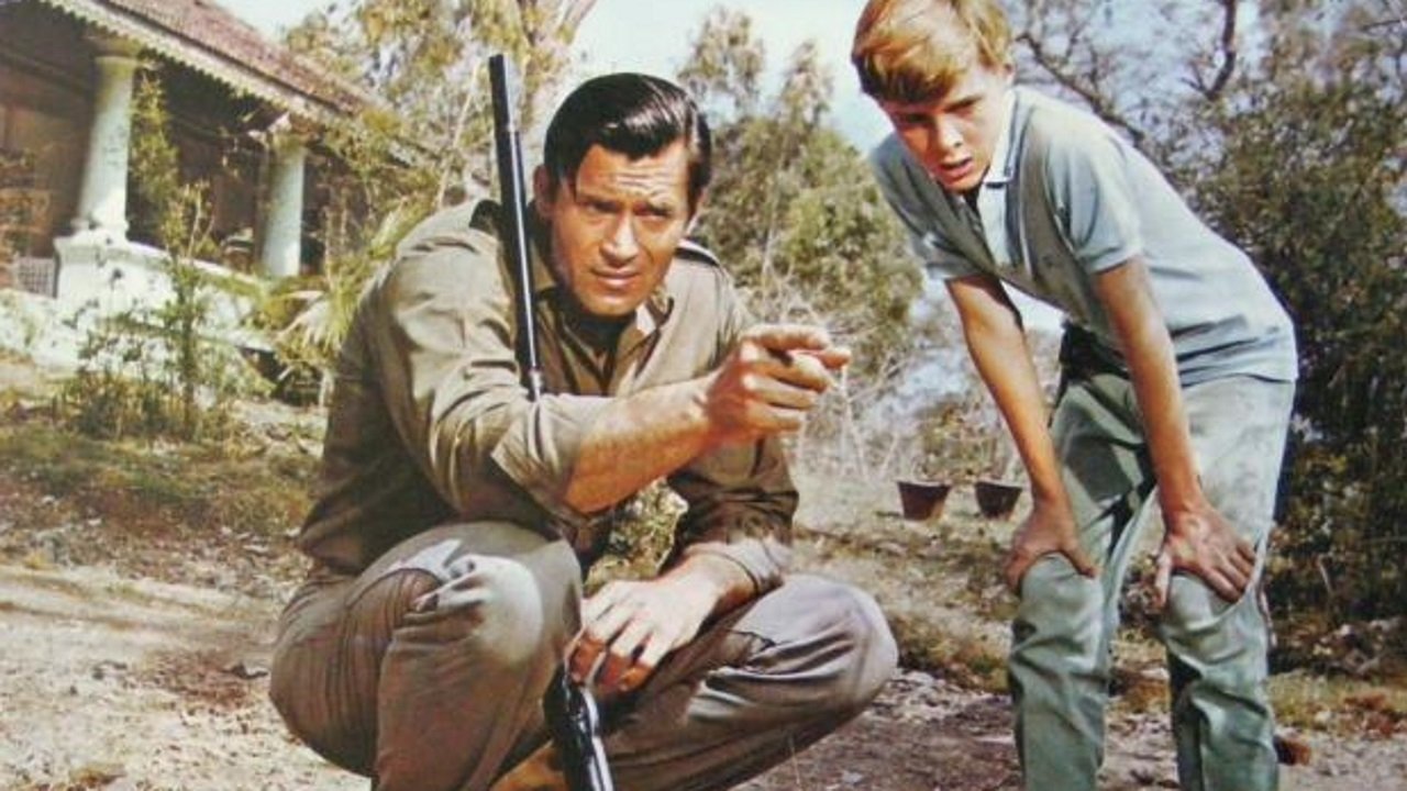 Gefahr im Tal der Tiger (1966) abspielen