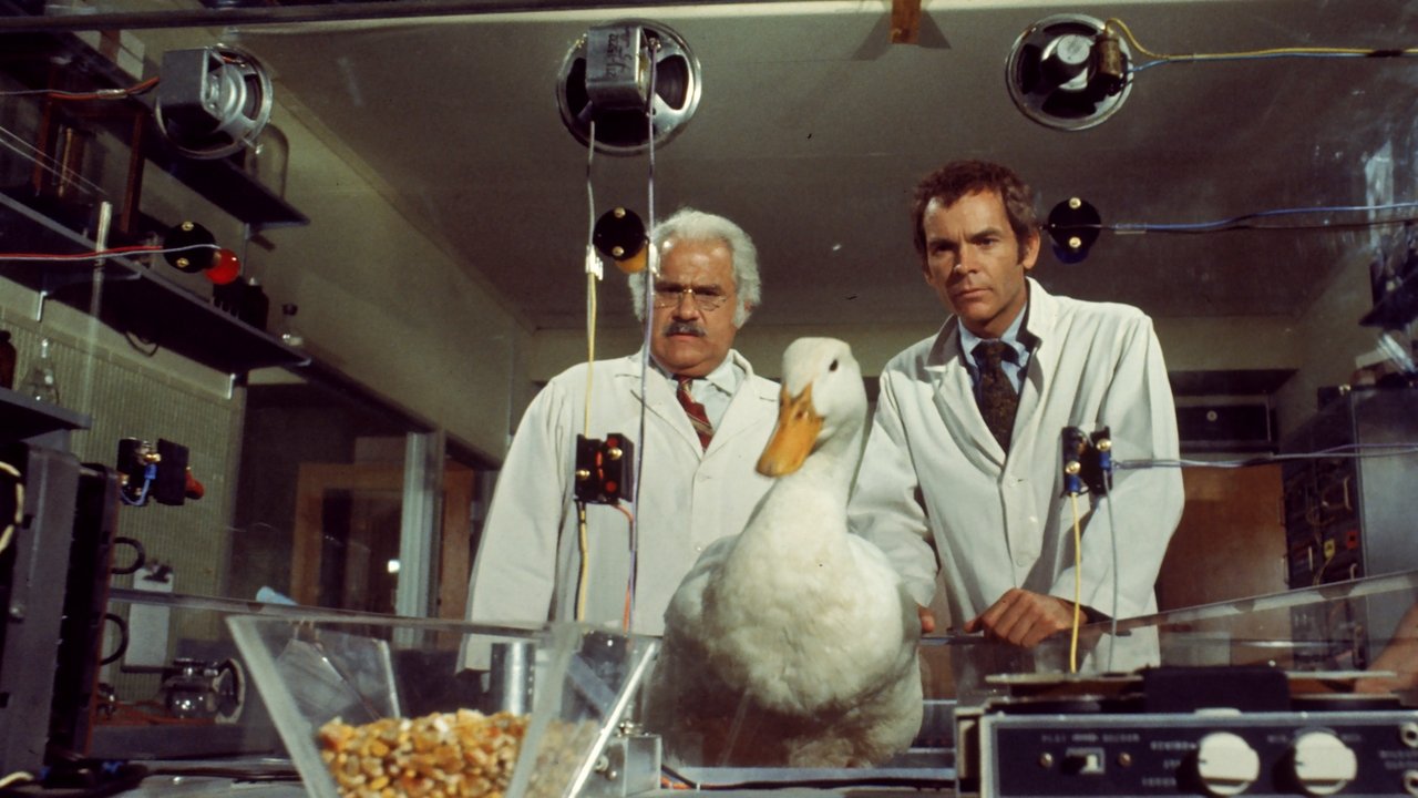 Die Millionen-Dollar-Ente (1971) abspielen