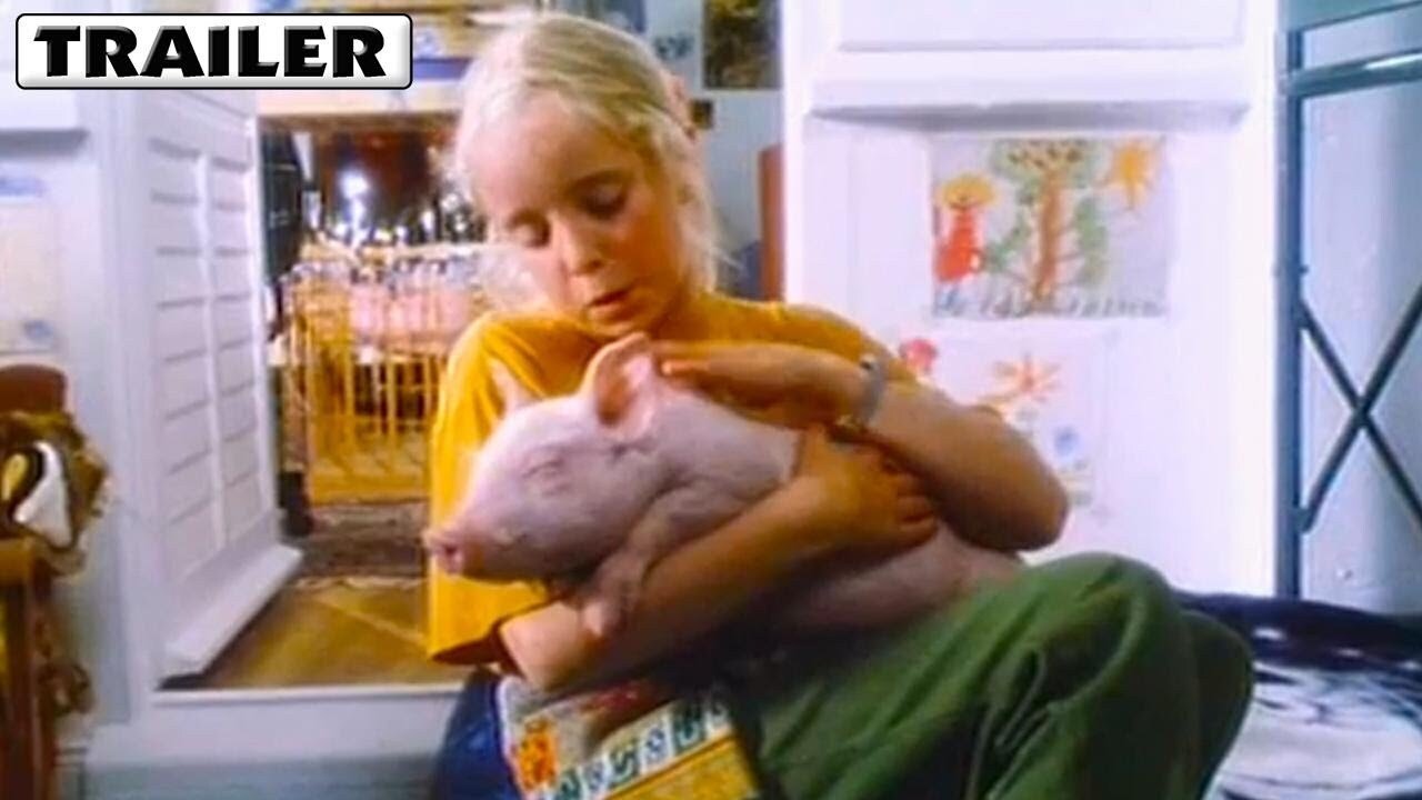 Rennschwein Rudi Rüssel (1995) abspielen