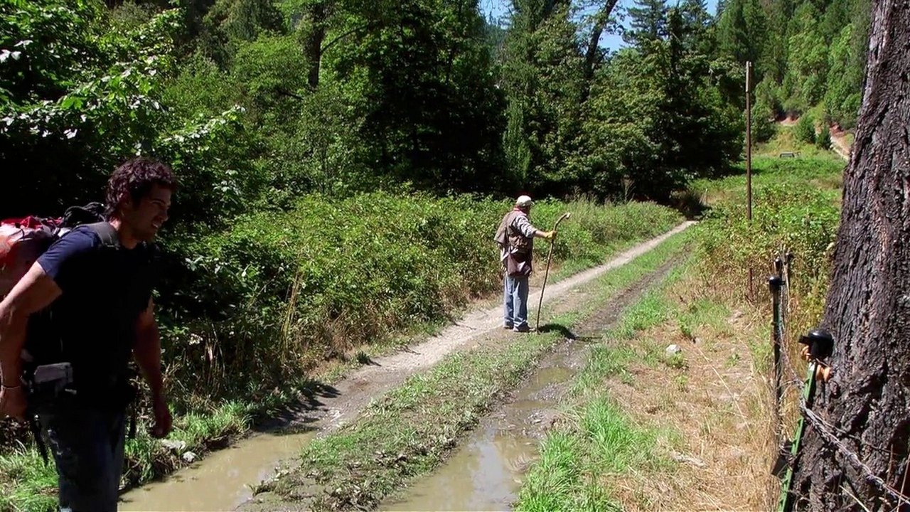 The Bigfoot Tapes (2012) abspielen