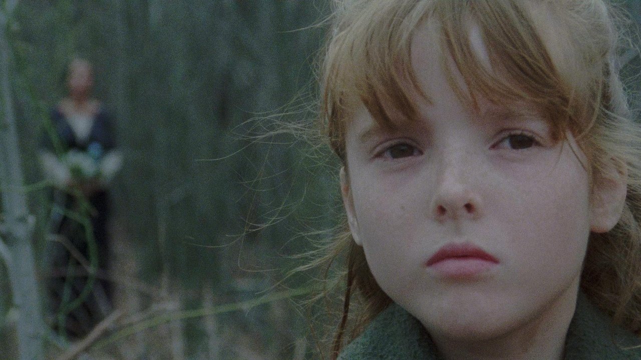 Das Haus an der Friedhofmauer (1981) abspielen