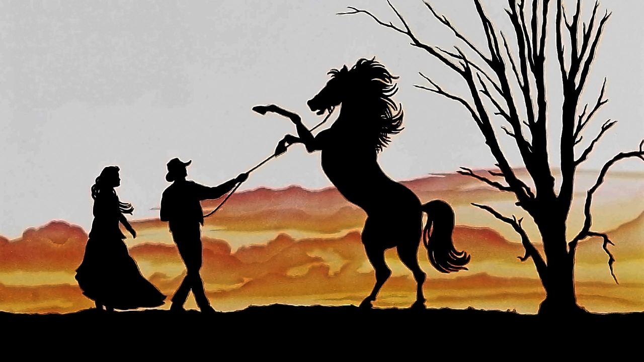 Snowy River (1982) abspielen