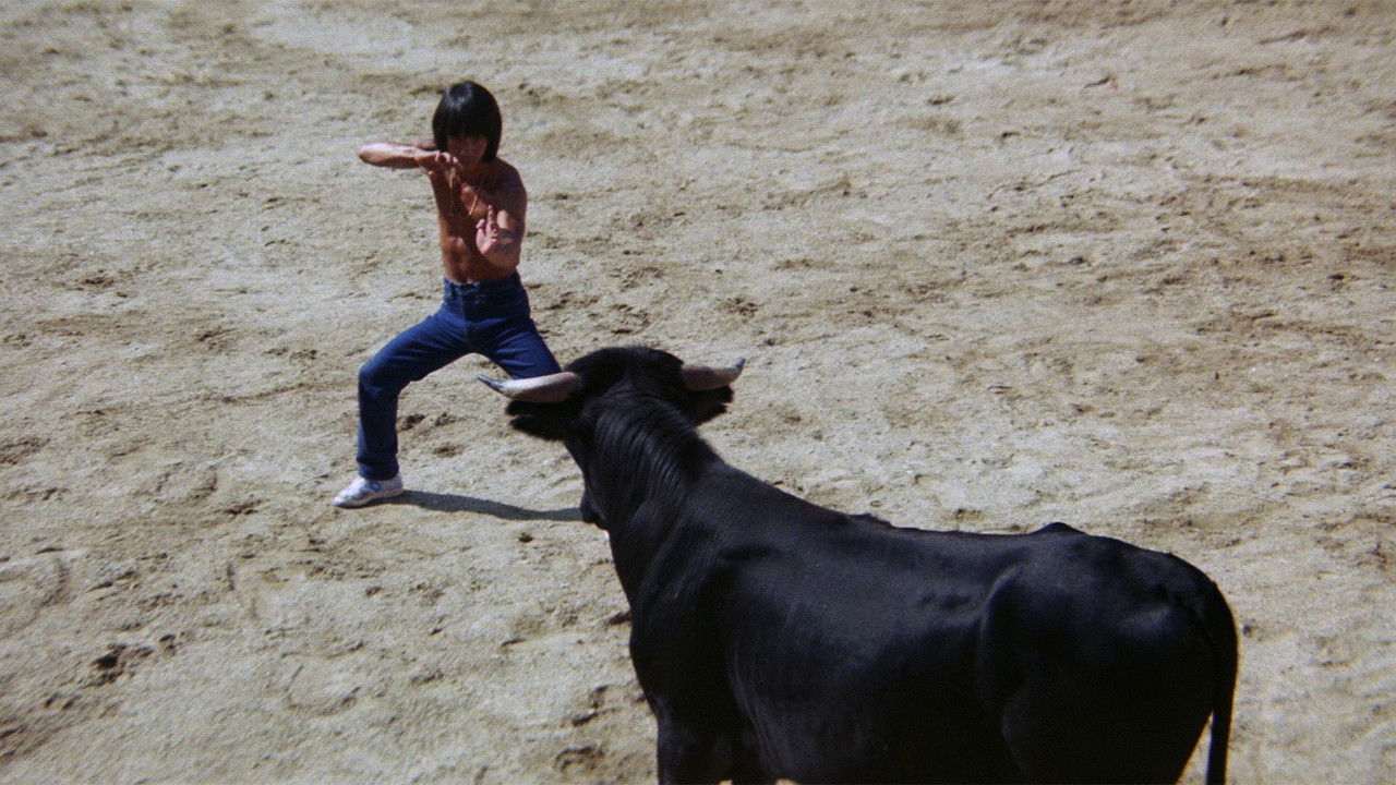 Spezialkommando Feuervogel (1980) abspielen