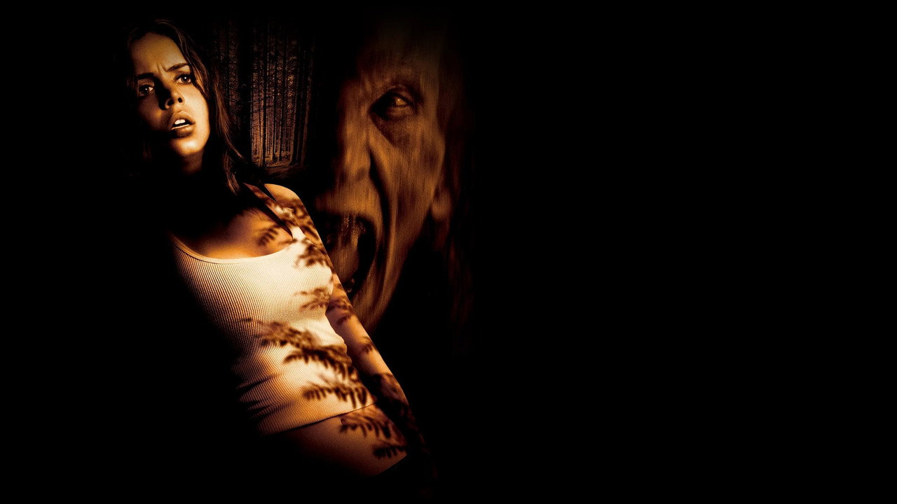 Wrong Turn (2003) abspielen