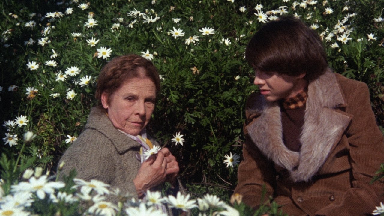 Harold und Maude (1971) abspielen