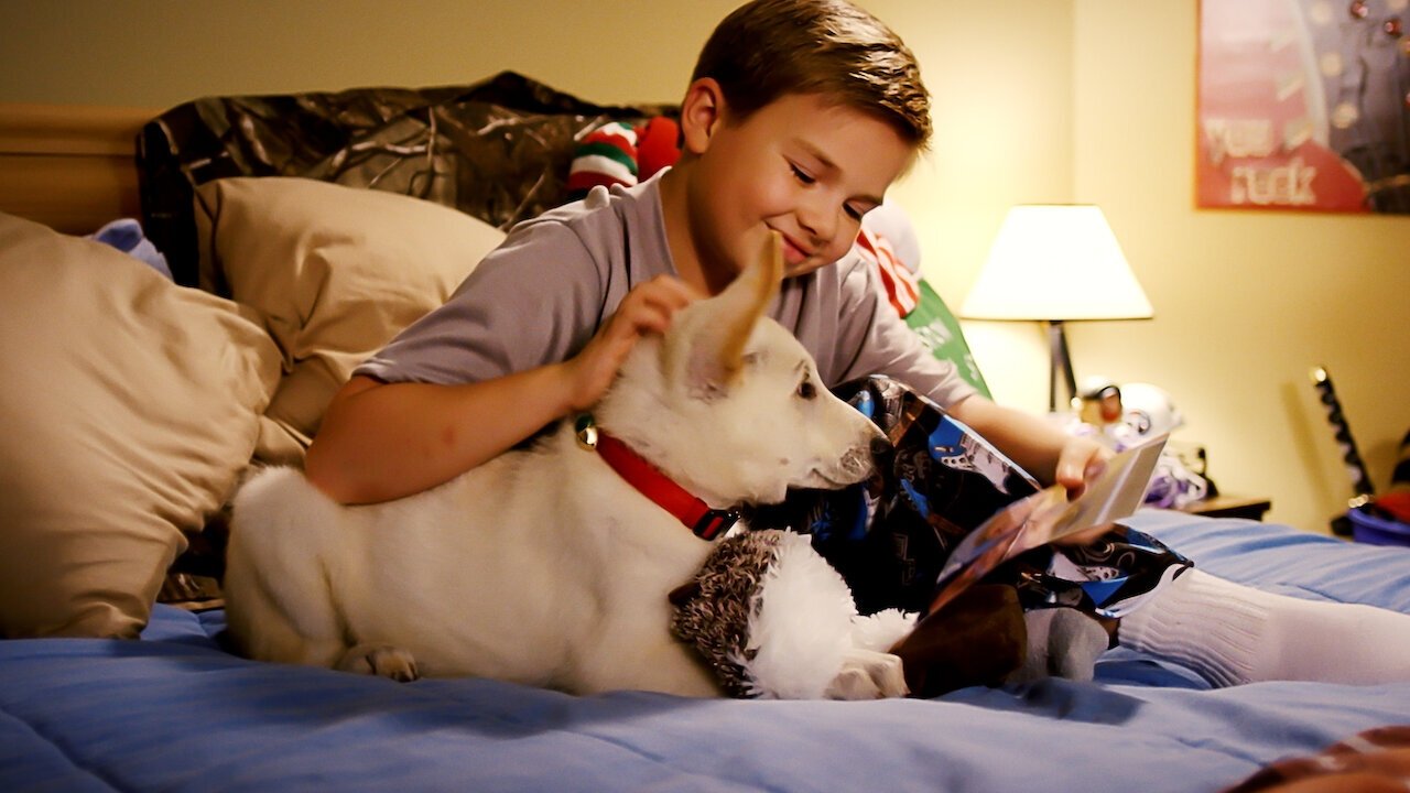 A Belle for Christmas (2014) abspielen