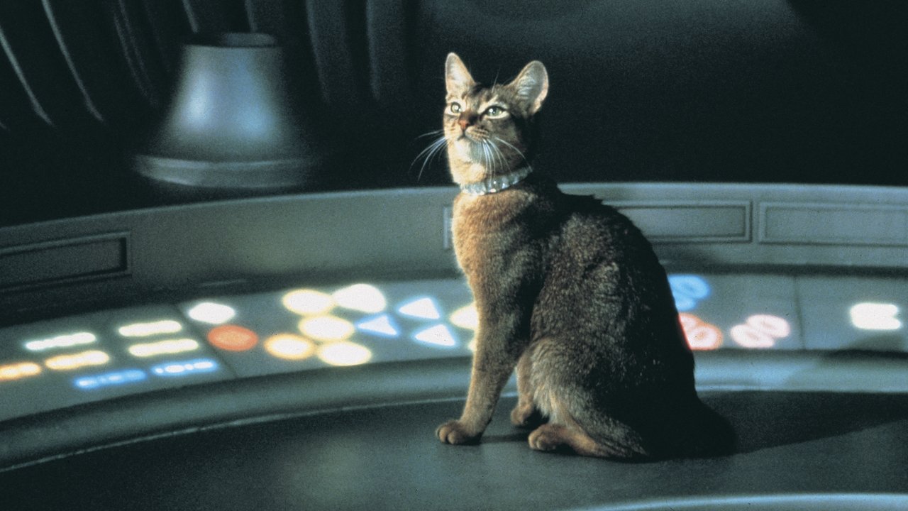 Die Katze aus dem Weltraum (1978) abspielen
