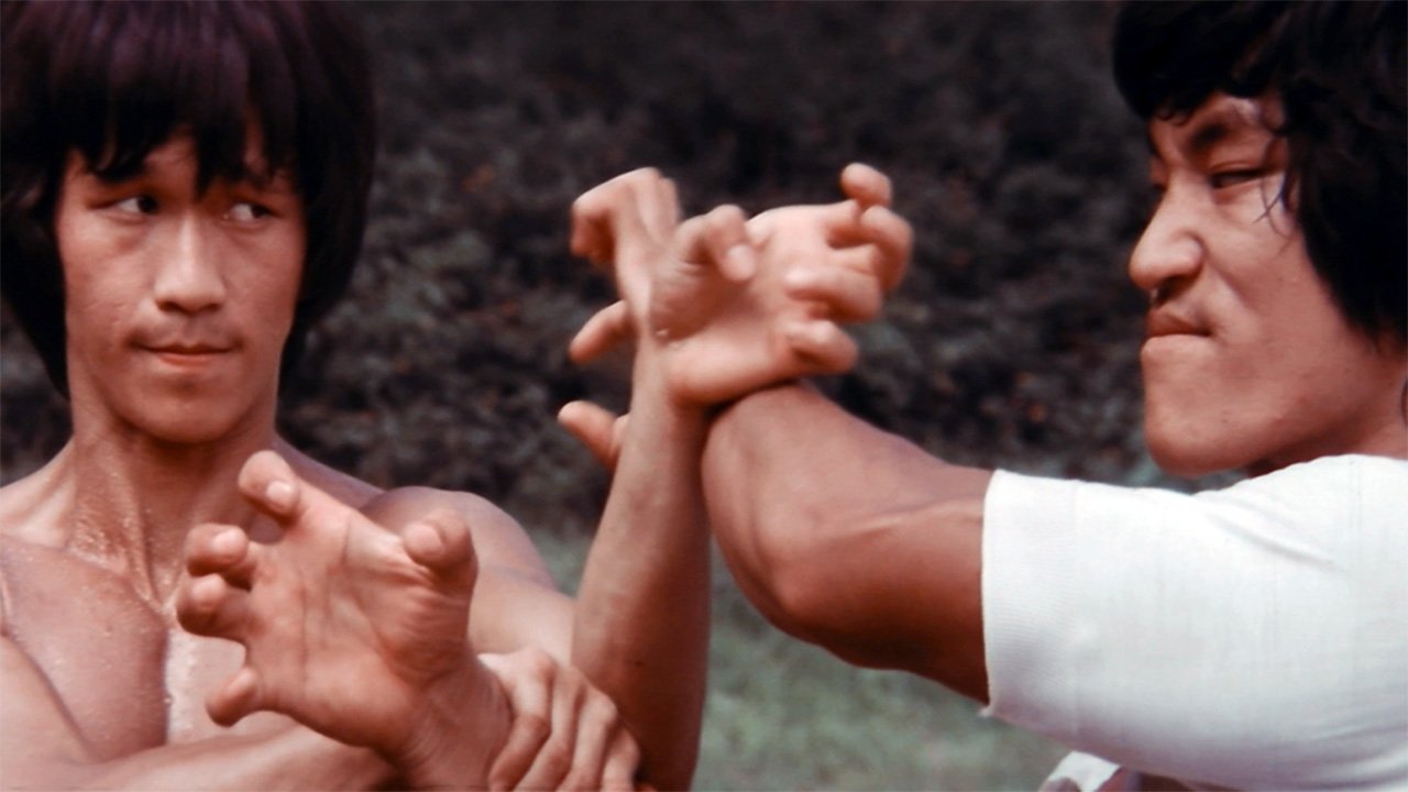 Bruce Lee - Seine Erben nehmen Rache (1980) abspielen