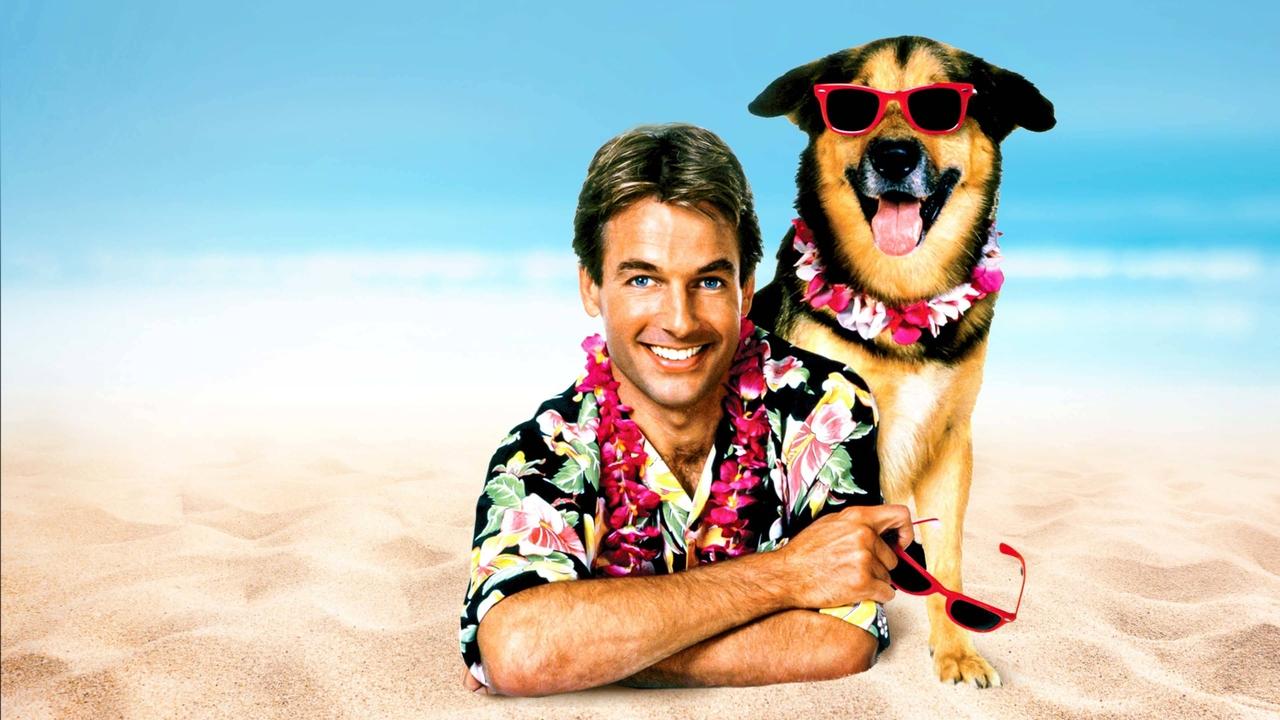 Summer School (1987) abspielen