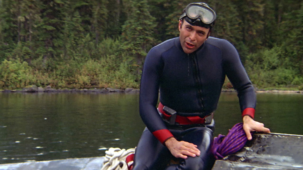 Goldfieber (1982) abspielen