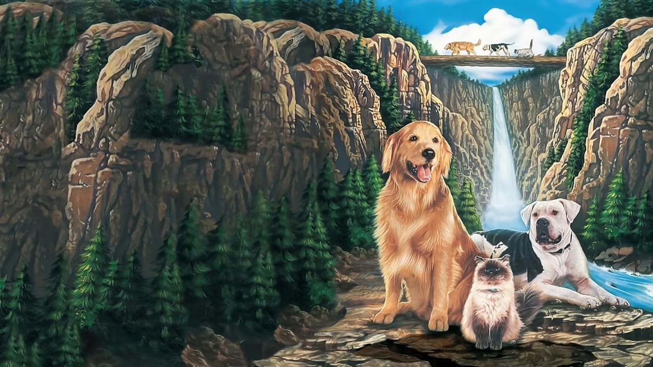 Zurück nach Hause: Die unglaubliche Reise (1993) abspielen