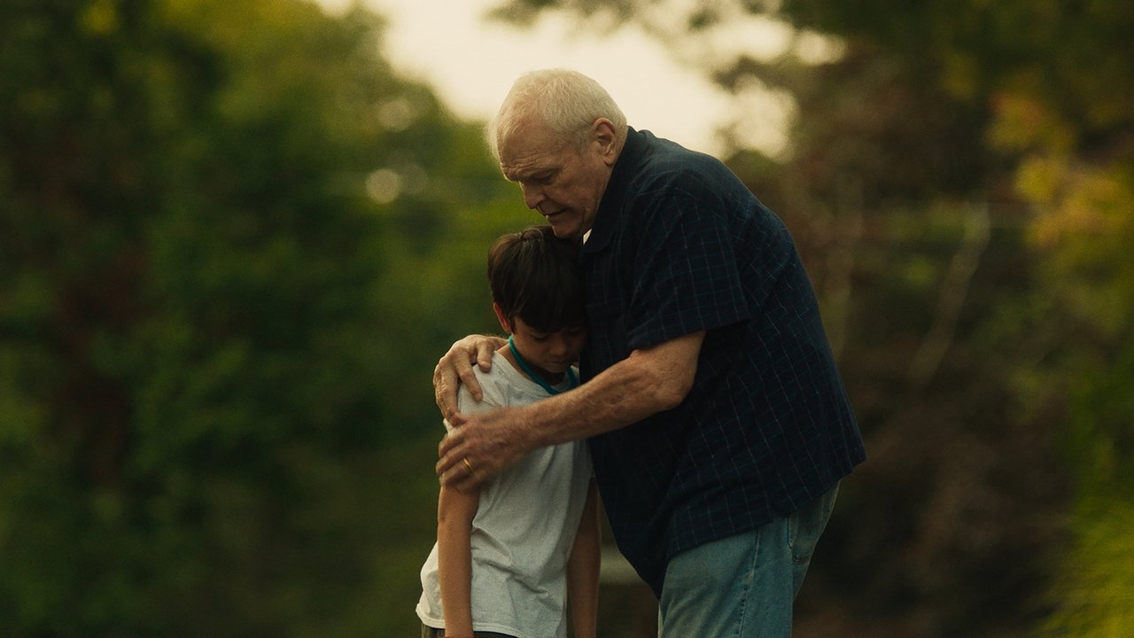 Driveways (2020) abspielen