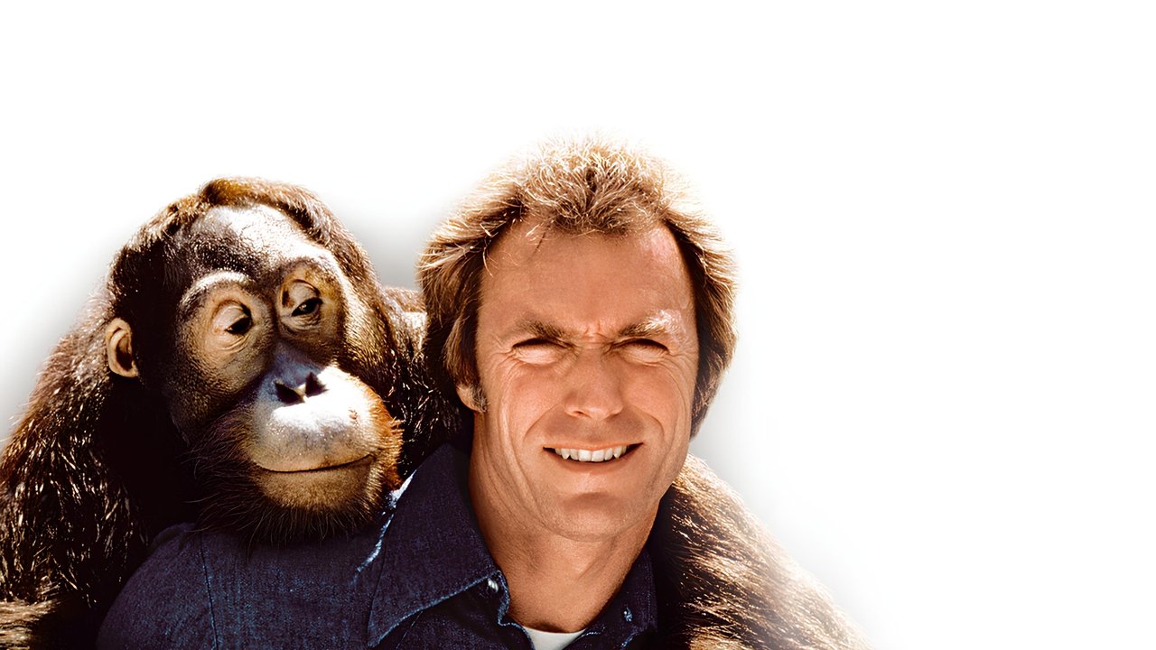 Mit Vollgas nach San Fernando (1980) abspielen