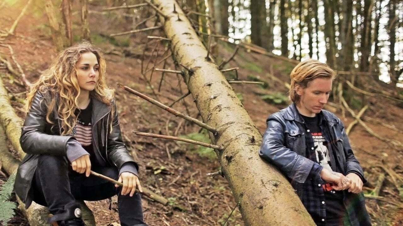 Scheinwelt - Vergangenheit endet nie (2013) abspielen