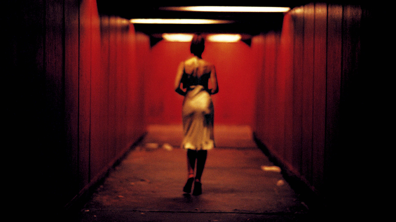 Irreversibel (2002) abspielen