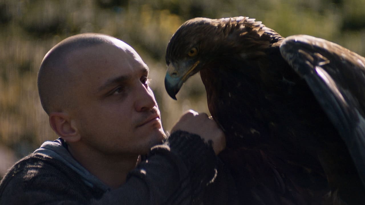 Luzifer (2021) abspielen