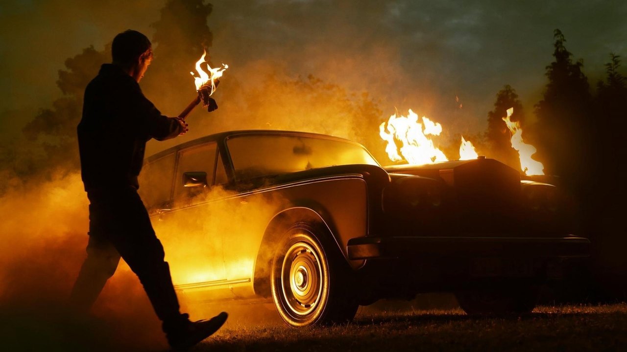 Blinde Wut - Kampf gegen das System (2017) abspielen