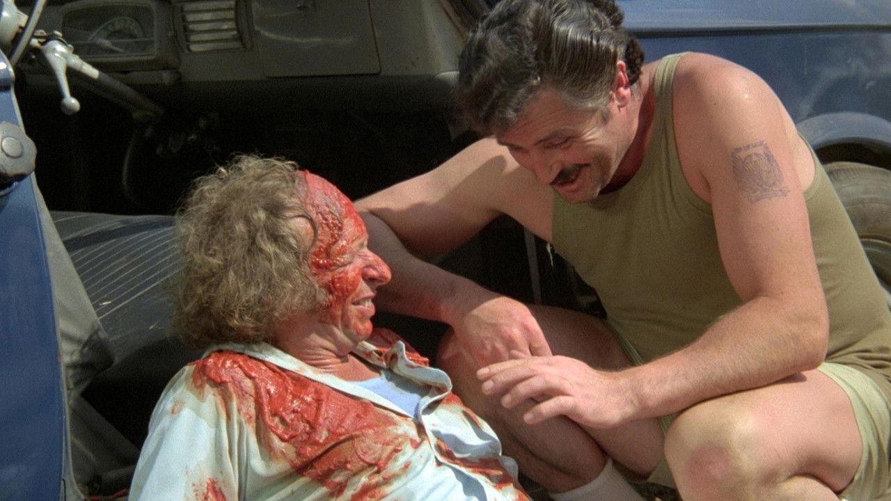 Der Sanfte mit den schnellen Beinen (1978) abspielen