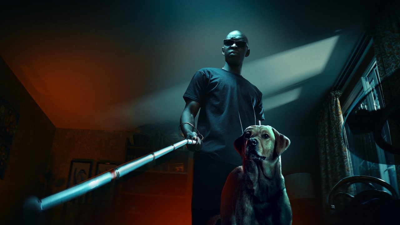 Le Roi des Ombres (2023) abspielen