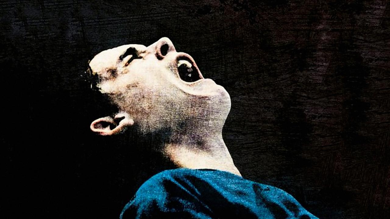 Dog Pound (2010) abspielen