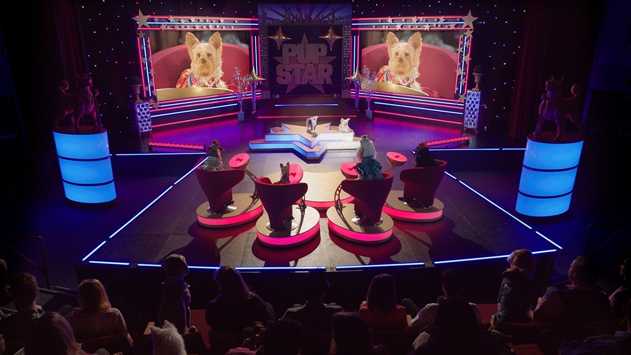 Wuff Star: Rund um die Welt (2018) abspielen