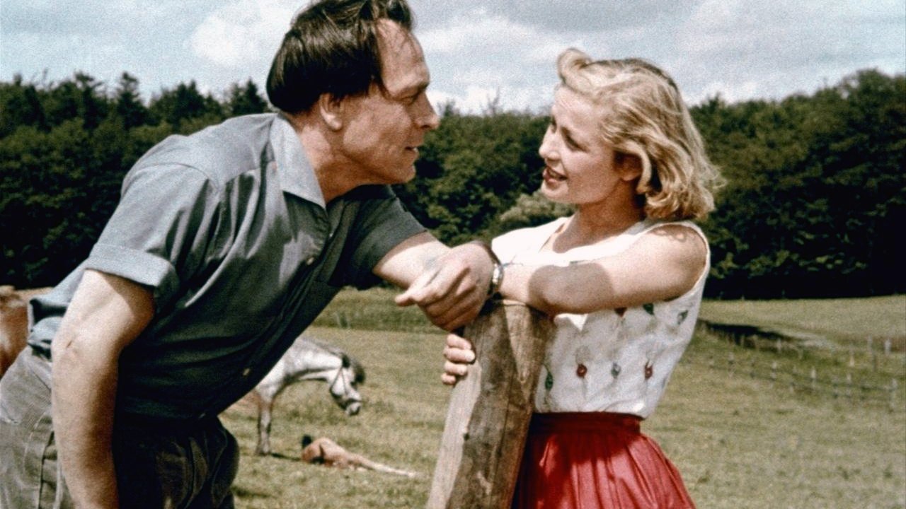 Hochzeit auf Immenhof (1956) abspielen