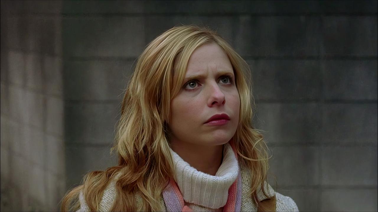 Der Fluch - The Grudge (2004) abspielen