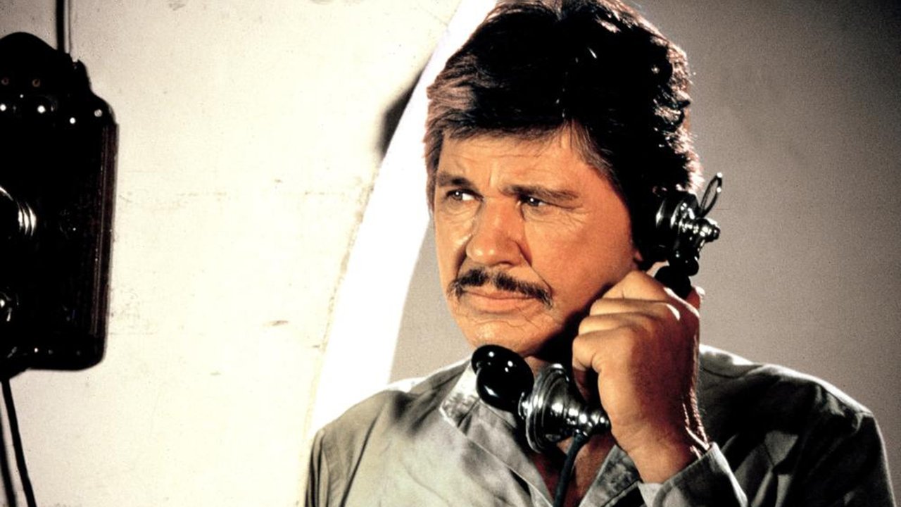 Der Liquidator (1984) abspielen
