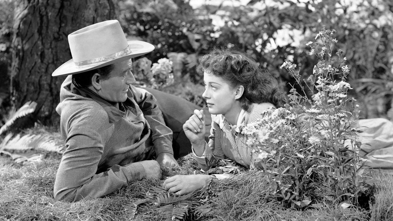 Der schwarze Reiter (1947) abspielen