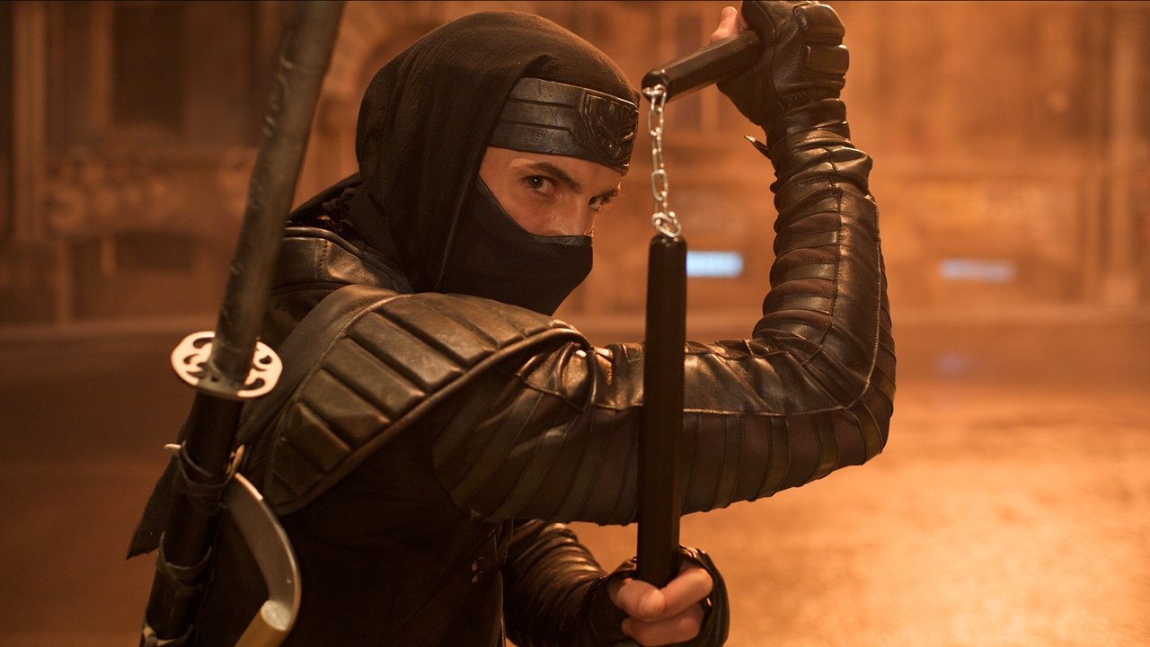 Ninja - Revenge will rise (2009) abspielen