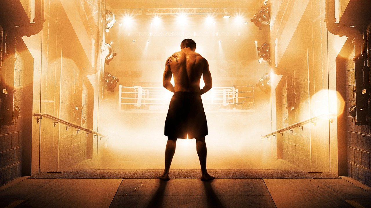 Warrior (2011) abspielen