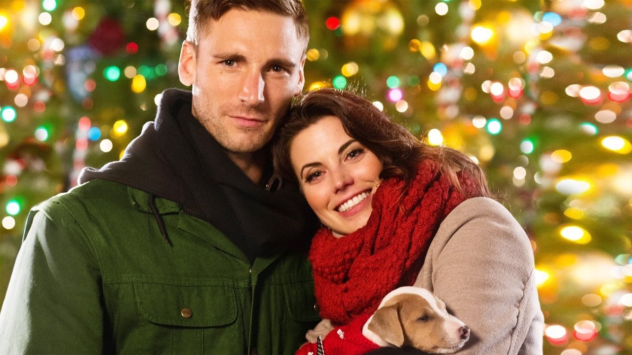 Weihnachten Undercover (2015) abspielen