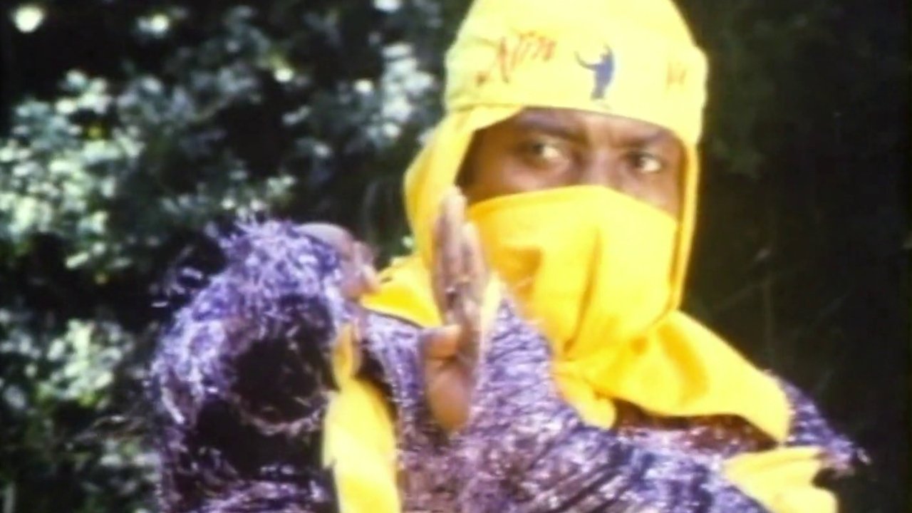 Der Schwarze Tiger (1987) abspielen
