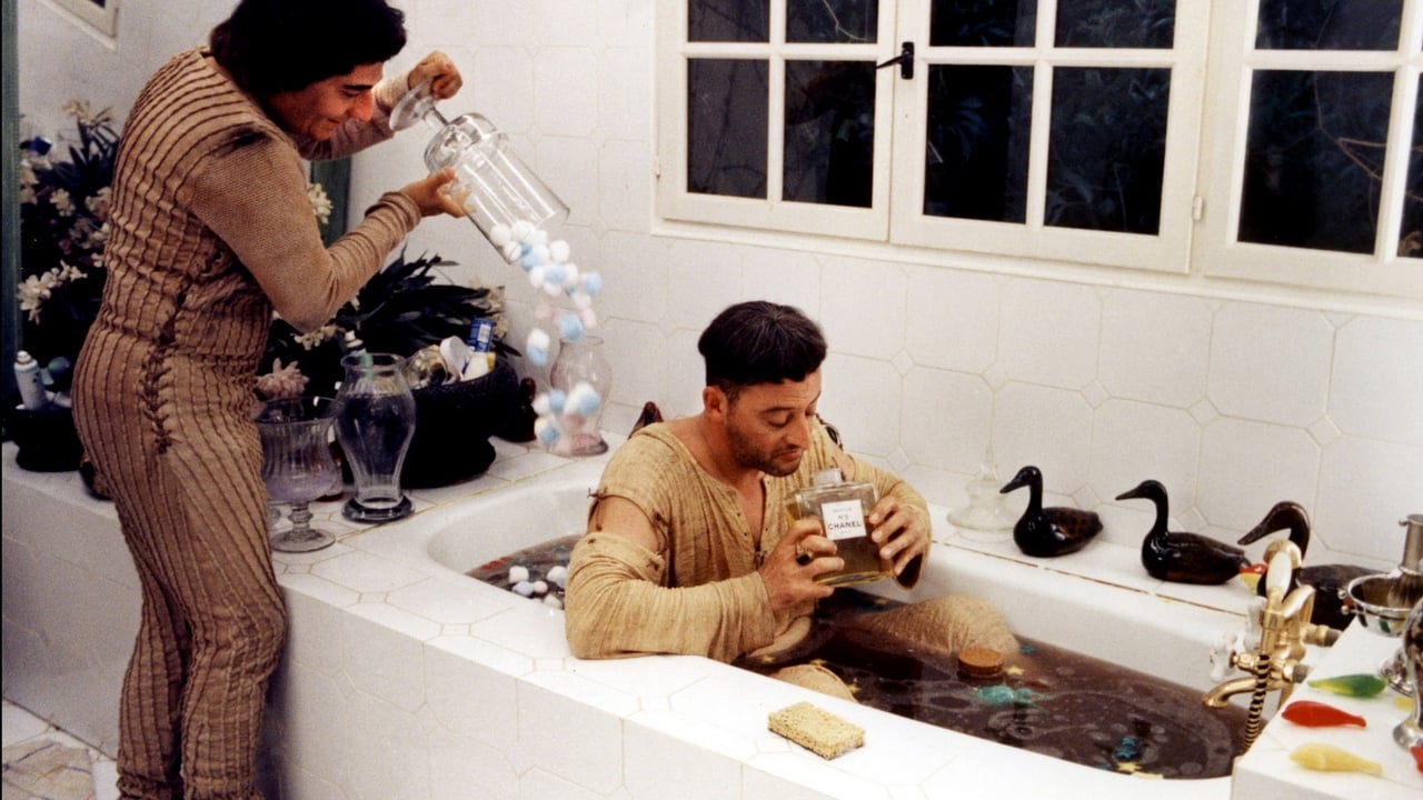 Die Besucher (1993) abspielen