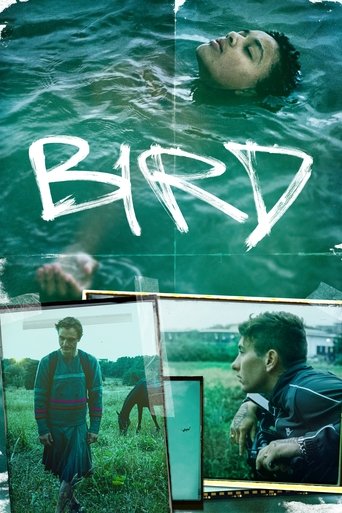 Bird (2024)